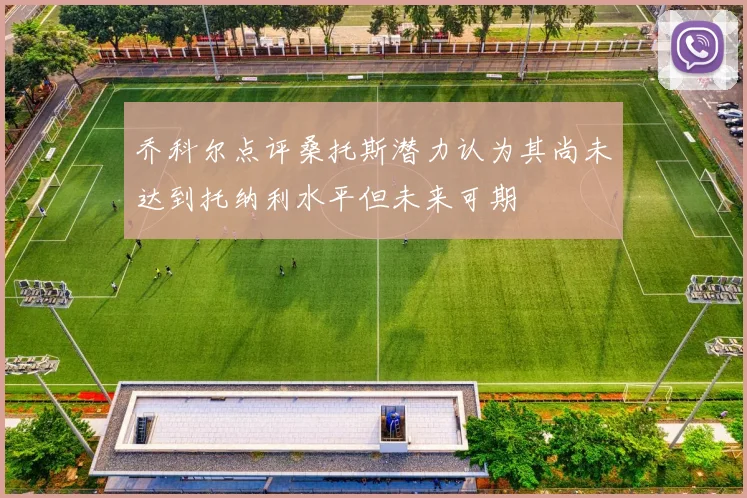 乔科尔点评桑托斯潜力认为其尚未达到托纳利水平但未来可期