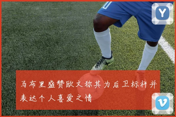 马布里盛赞欧文称其为后卫标杆并表达个人喜爱之情