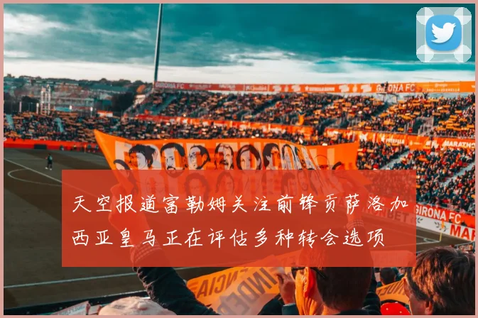 天空报道富勒姆关注前锋贡萨洛加西亚皇马正在评估多种转会选项